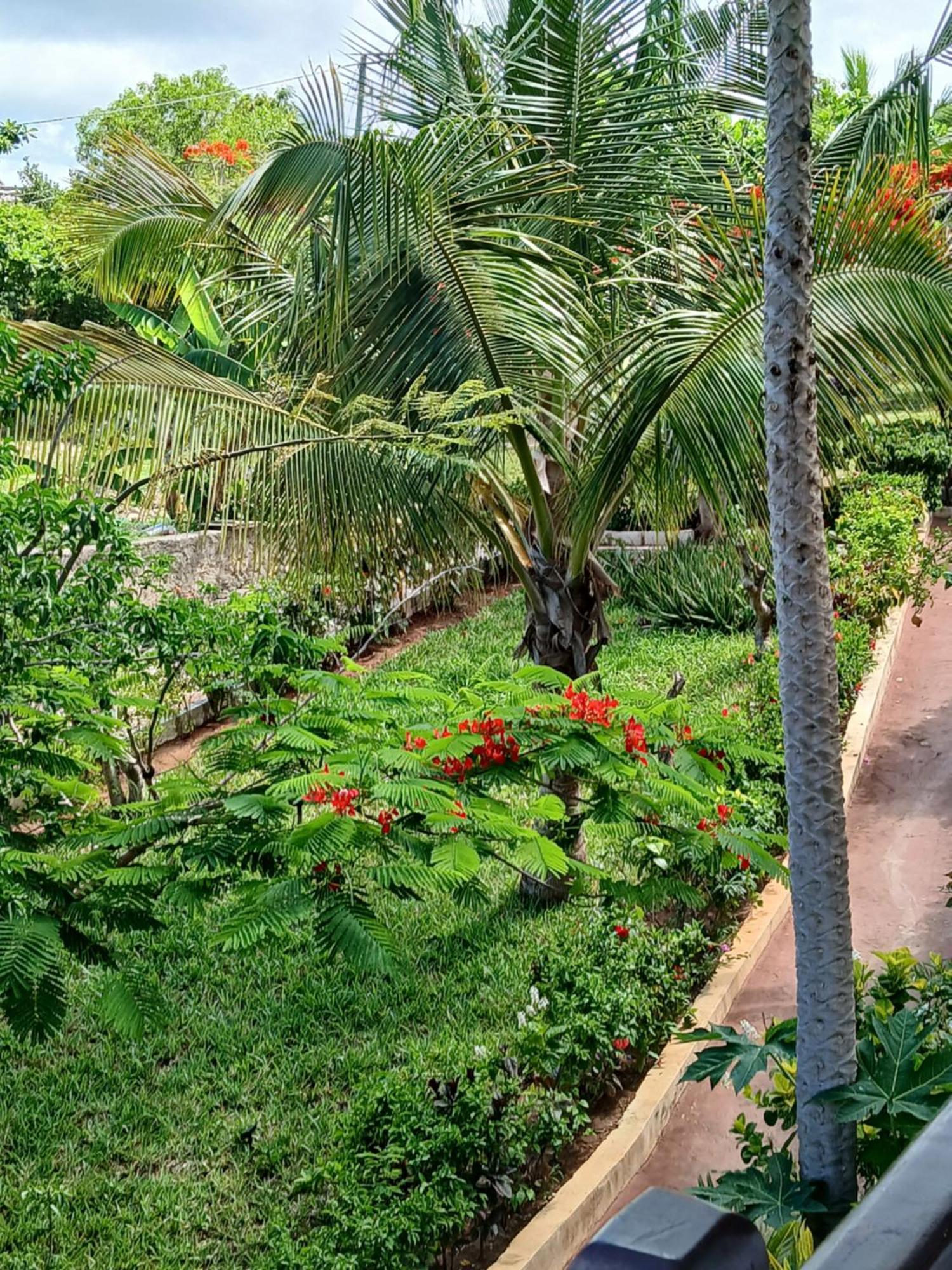 Villa Majani Breeze Nungwi Exterior foto